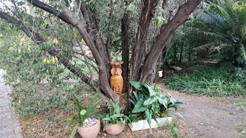 Prince Albert House | Saxe-Coburg Lodge