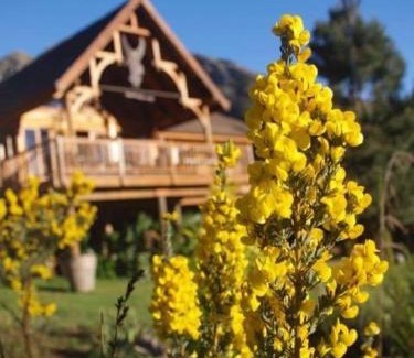 Joubertina Cabin | Scalarhoney Lodge