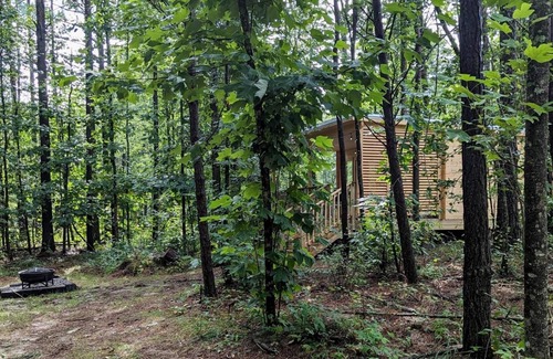 Coalmont House | Scandinavian Cabin at Getaway on Ranger Creek