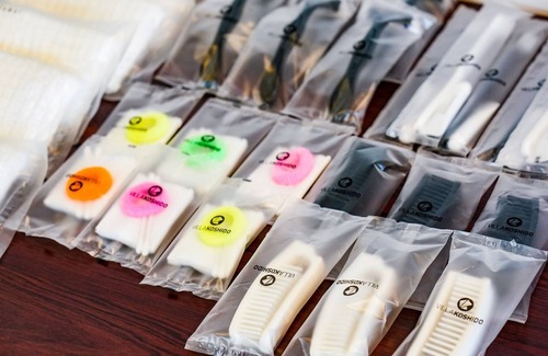 Kotoni Hotel | Scandinavian modern deluxe twin room stay without/Sapporo Hokkaidō