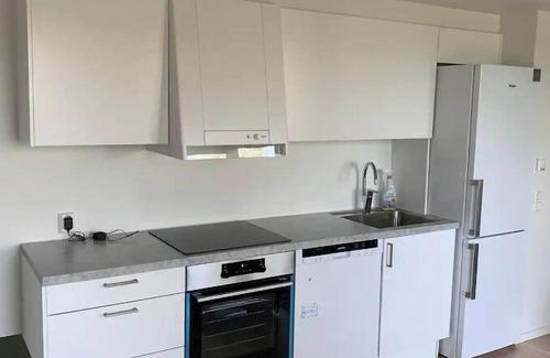 Baerum Municipality Apartment | Scandpoint Apartment : Cosy Apartment Near Sea front with outdoor walk!
