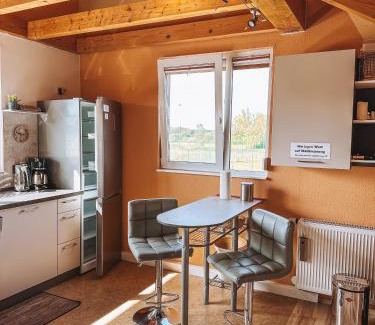 Seligenporten Apartment | Schöne Wohnung mit großem Garten