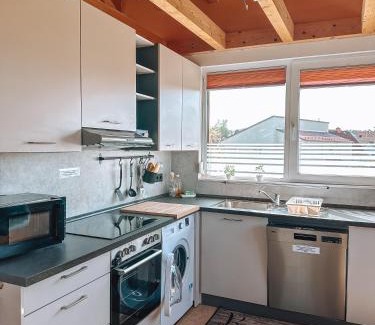 Seligenporten Apartment | Schöne Wohnung mit großem Garten