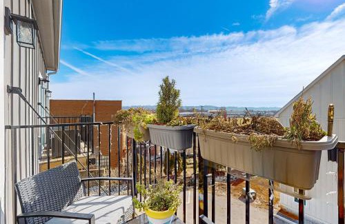 Chattanooga Apartment | Sculpture Fields View