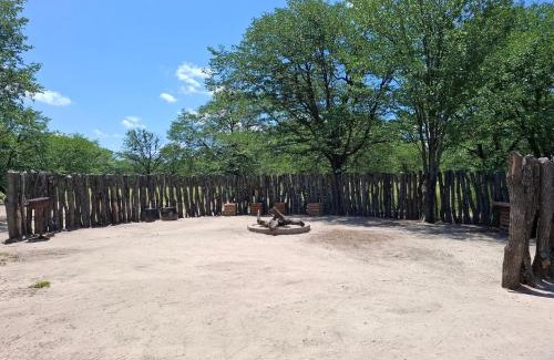 Maun Other | Se xaxa Camp