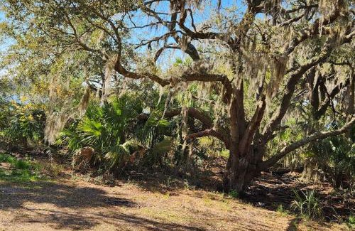 Saint Helena Island House | Sea Island Seclusion Marsh View with Beach Pass