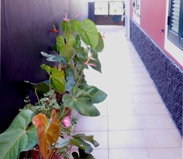 Faial Apartment | Sea & Mountain View Lombo de Cima House BBQ & Wifi