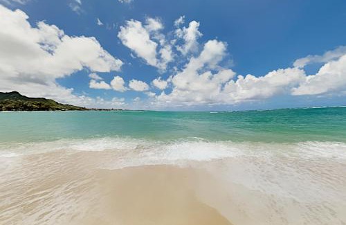 Punaluu House | Sea Turtle Cottage