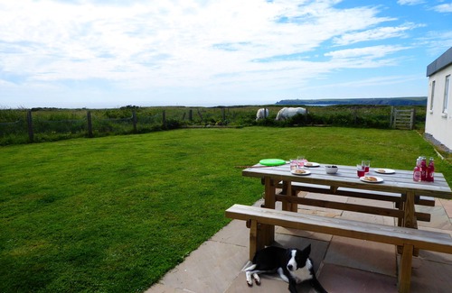 Angle House | Sea views from every window, walks from the door. Dog Friendly.