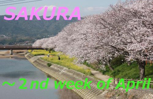 Hikari House | seabreezehouse 海風家