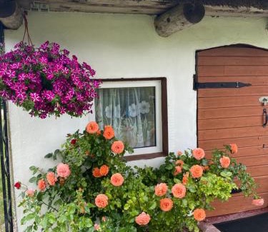 Lapmezciems Parish House | Searooms