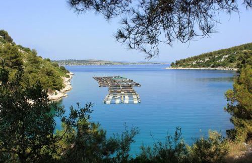 Island Dugi Otok Apartment | Seaside secluded apartments Cove Dumboka bay - Dumboka (Dugi otok) - 395