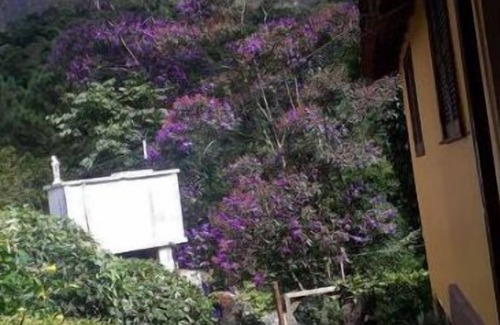 Fazenda Inglesa House | Seasonal home