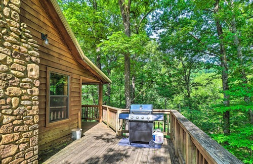 Newnata Cabin | Secluded Creekside Cabin w/ Kayaks Provided