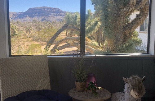 Meadview House | Secluded home in the Joshua Tree Forest close to the Grand Canyon West Skywalk