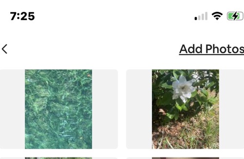 Mayo House | Secluded Home on 10 acres, near Suwannee river boat ramp 40 min from Gulf Beach