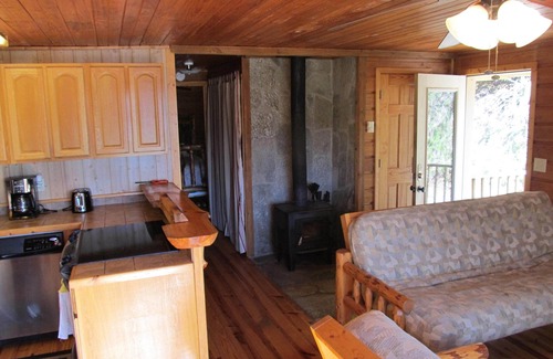 Topton Cabin | Secluded, lake view with hot tub, billiards, ping pong & hammock