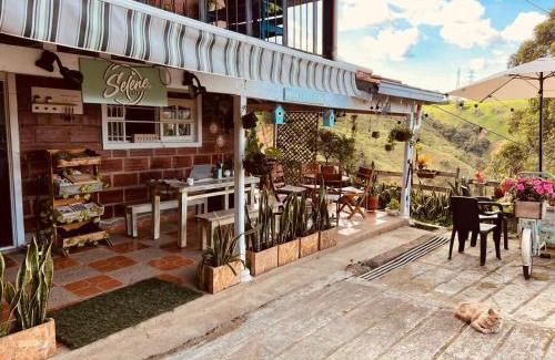 Medellin Bed & Breakfast | SELENE Hostal Coworking Café