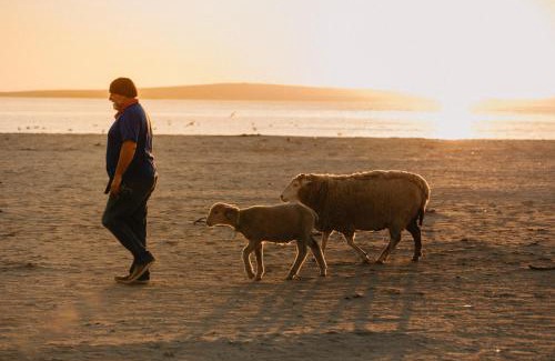 Langebaan Villa | Sensiri Orca Beach Villa