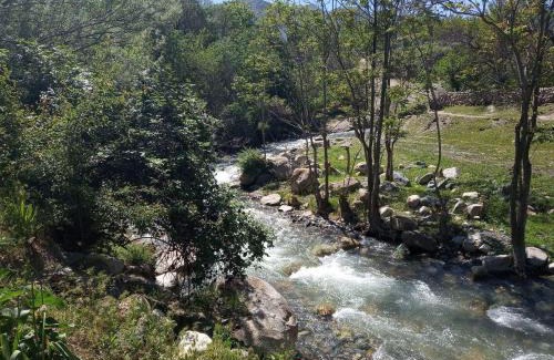 Nurata District House | Sentyab Obi chashma guest house