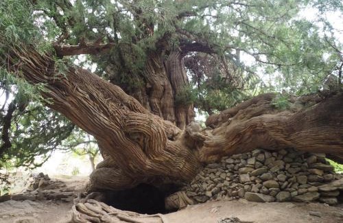 Nurata District House | Sentyab Obi chashma guest house