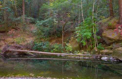 Cazadero House | Sequoia Beach Dreamery