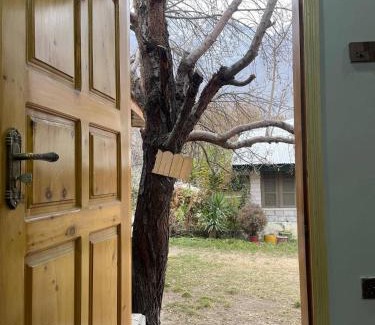 Gilgit House | Serene