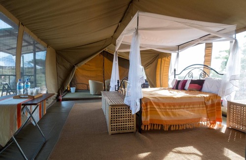 Serengeti National Park Other | Serengeti Wildebeest Camp