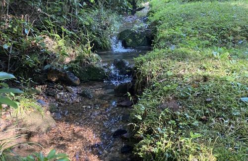 Copperhill House | Serenity Creek - Cuddleup