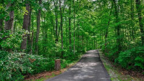 Fort Payne House | Serenity Escape Treehouse on 14 acres near Little River Canyon