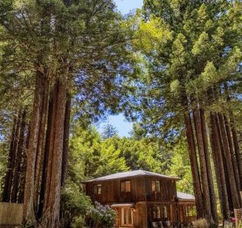 Fort Bragg House | Serenity Grove