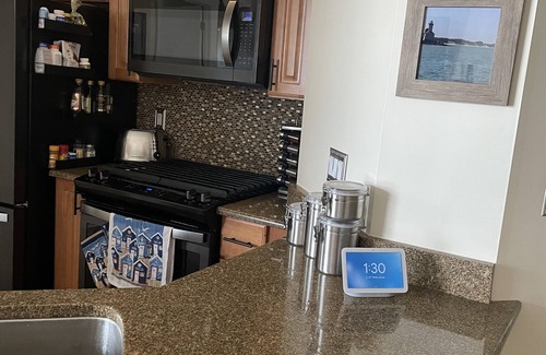 Portage Condo | Serenity on the Shores - with easy transport to Chicago/SouthShore across the St