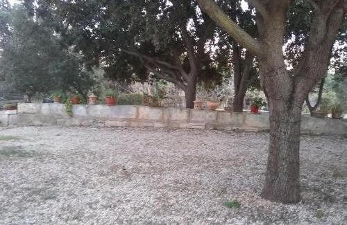 Son Antem Apartment | Ses Alzines Apartamento integrado en Casa Rural Habitada