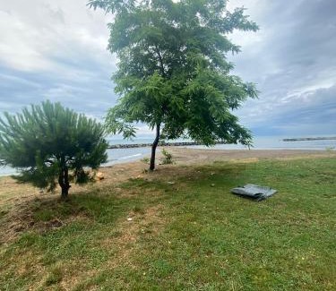 Altınordu Apartment | SEZGİN KARGI - Günübirlik Turizm Evleri