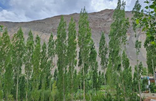 Tingmosgang Bed & Breakfast | Shanglang Guest House Ladakh by LexStays