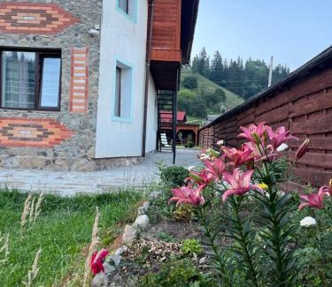 Iltsi Apartment | Sharm karpaty