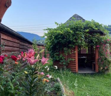 Iltsi Apartment | Sharm karpaty