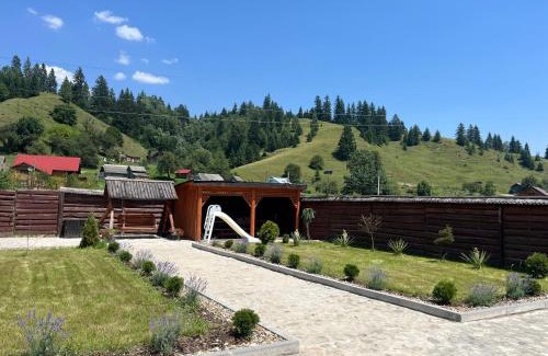 Iltsi Apartment | Sharm karpaty