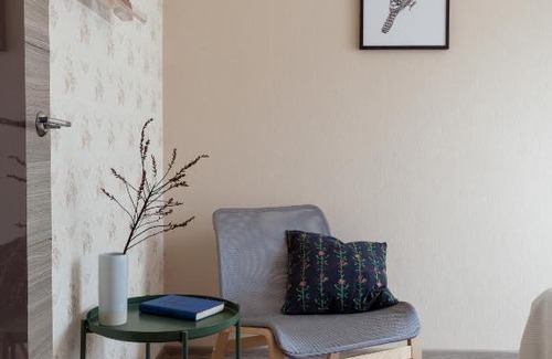 Ligovka Yamskaya Apartment | Shaulis Apartment on Nevsky 117