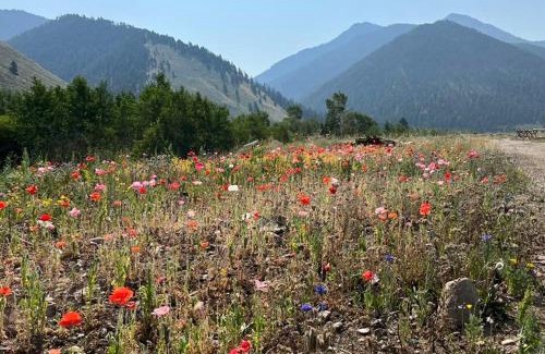 Cameron House | Sheep Creek Ranch Apartment