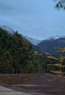 Palampur House | Shephard cheminèe