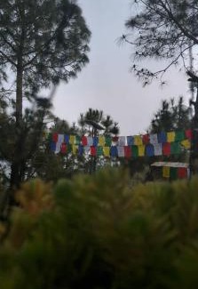 Palampur House | Shephard cheminèe