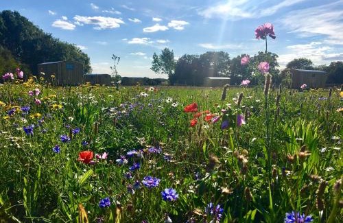 Bedfield House | Shepherds Hut 6