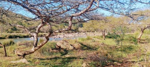 Mkhambathini Other | Sheriff's Campsite