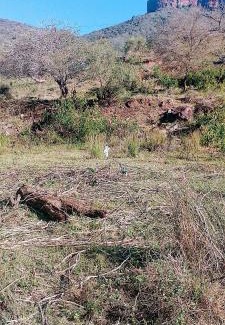 Mkhambathini Other | Sheriff's Campsite