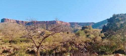 Mkhambathini Other | Sheriff's Campsite