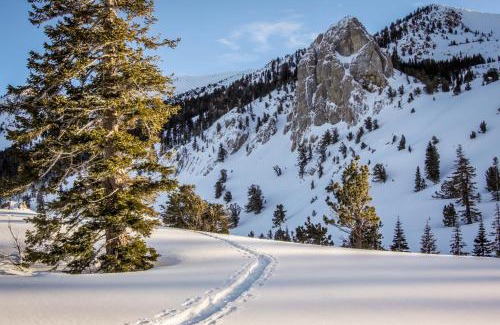 Mammoth Lakes Apartment | Sherwin Villas 39