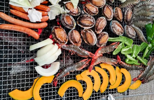 Iki House | Shimano log house whole house charter / Iki Nagasaki