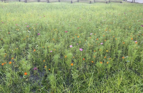 Rocky Point Cabin | Shipping Container Cabin Couples Paradise!