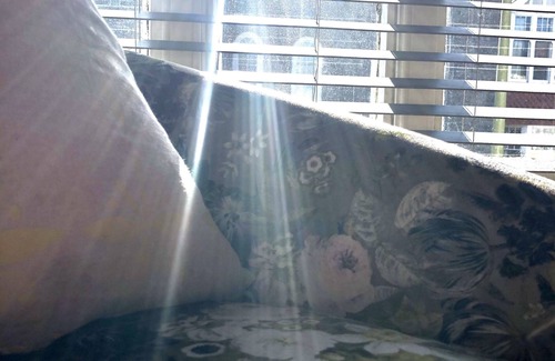 St Davids Cottage | Short breaks available